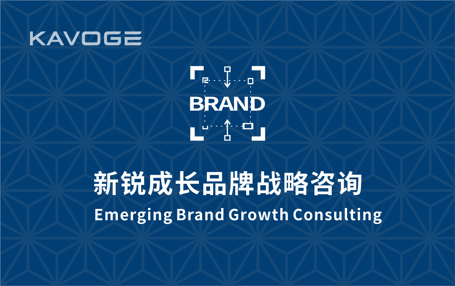 新锐成长品牌战略咨询